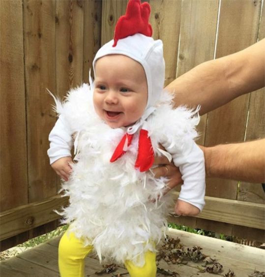 Chicken Costume DIY
 Best 25 Baby chicken costume ideas on Pinterest