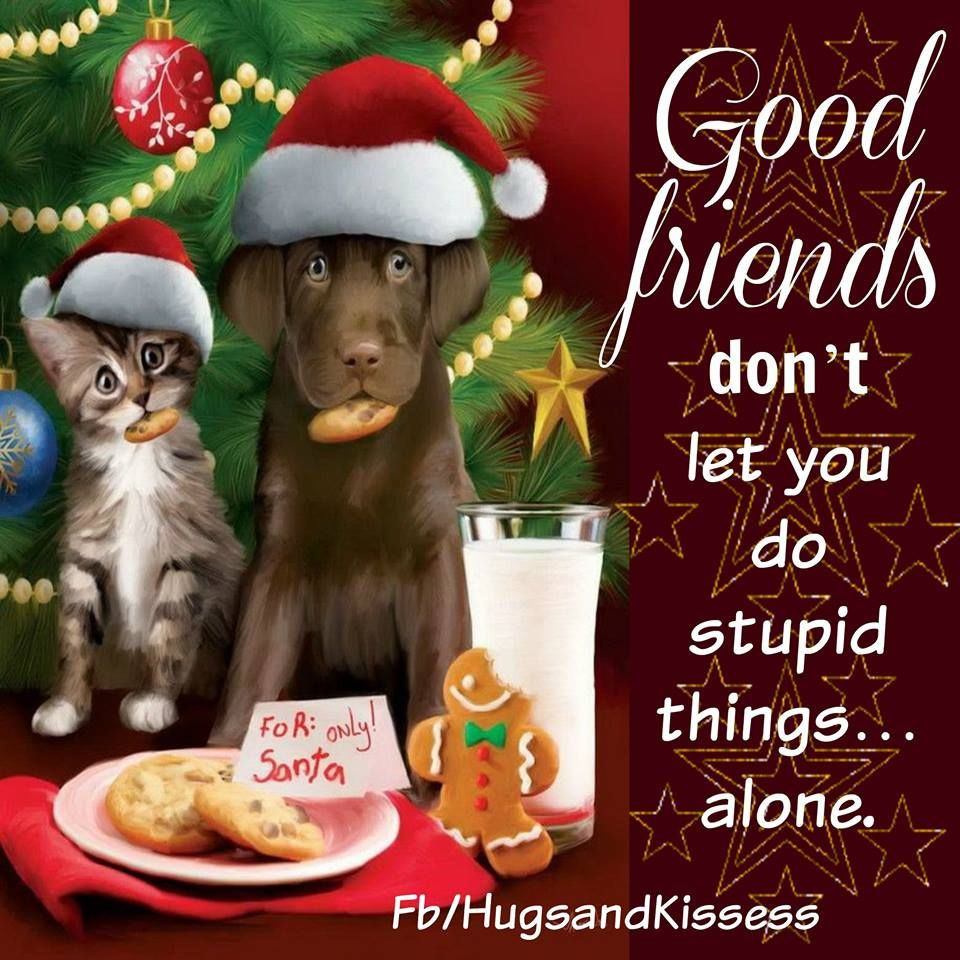 Christmas And Friends Quotes
 Cute Christmas Quotes About Friendship s
