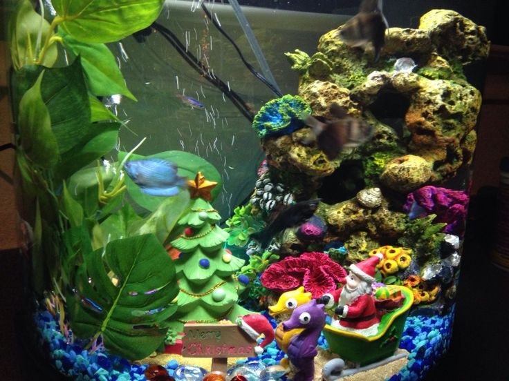 Christmas Aquarium Decor
 17 best images about Fish on Pinterest