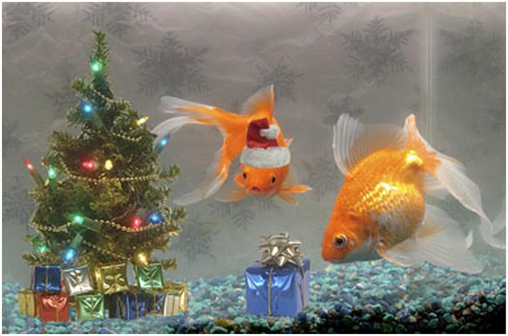Christmas Aquarium Decor
 Fish Tank Christmas Tree Decorations
