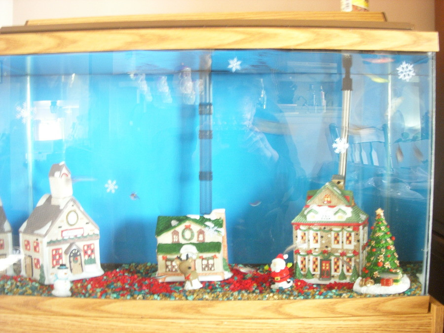 Christmas Aquarium Decor
 DIY Fish Tank Christmas Decor petdiys