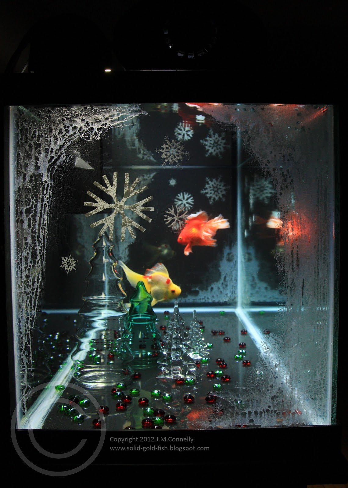 Christmas Aquarium Decor
 My Christmas themed Aquarium – Solid Gold Aquatics