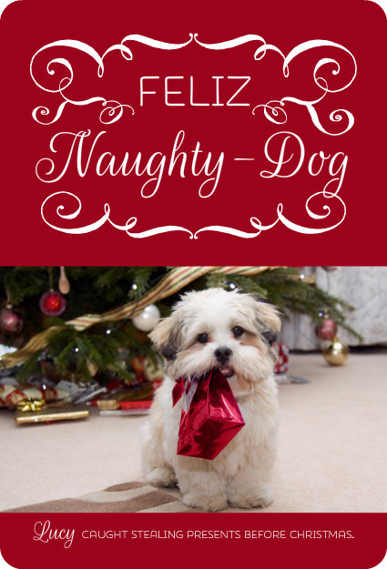 Christmas Dog Quotes
 Christmas Pet Quotes QuotesGram
