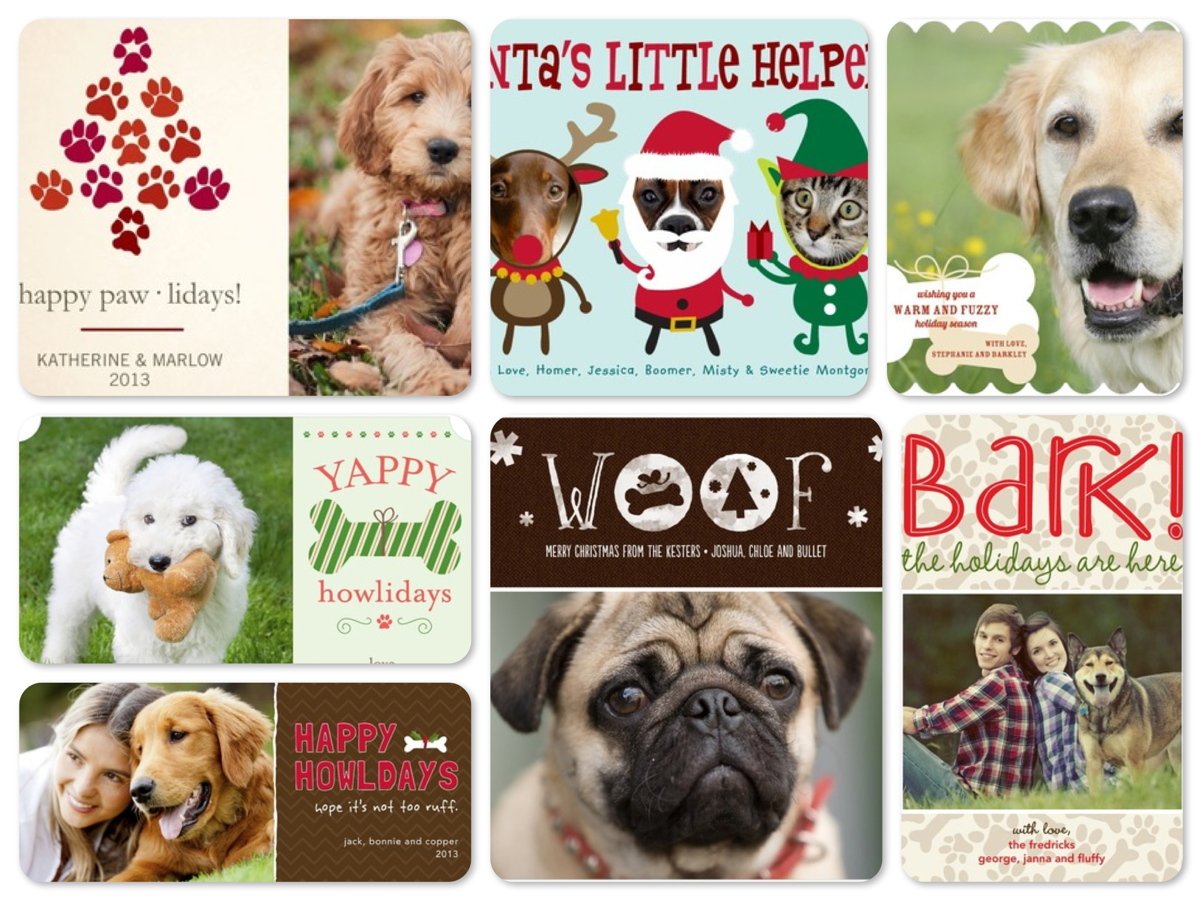 Christmas Dog Quotes
 Pet Lover Holiday Cards
