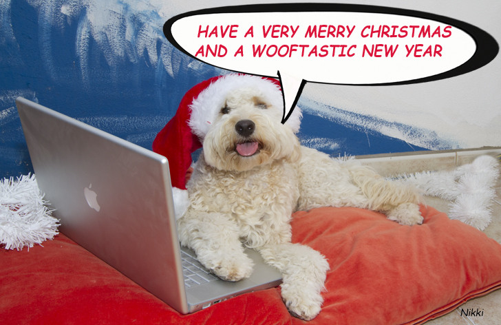 Christmas Dogs Quotes
 Christmas Dog Quotes QuotesGram