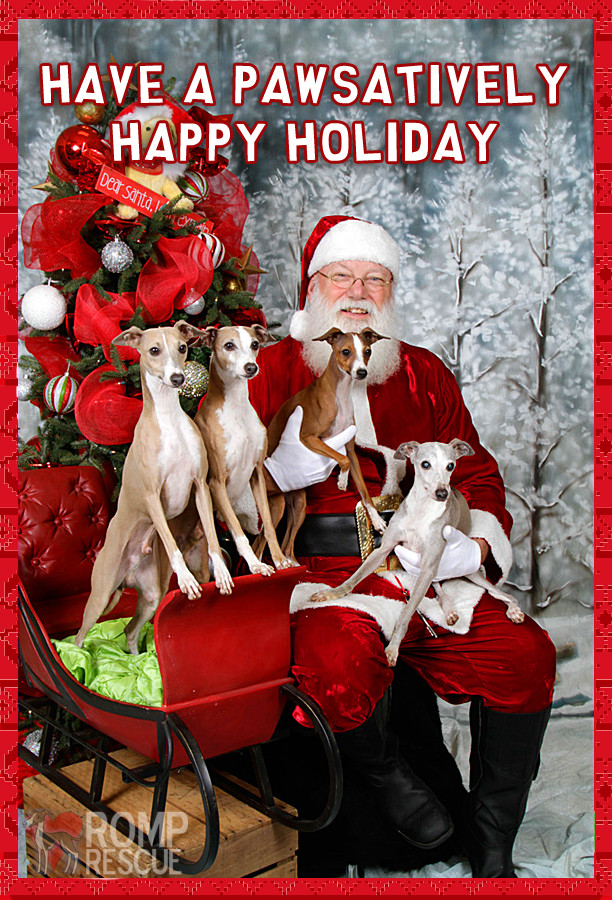 Christmas Dogs Quotes
 Christmas Card Ideas for your Dog ROMP Italian Greyhound