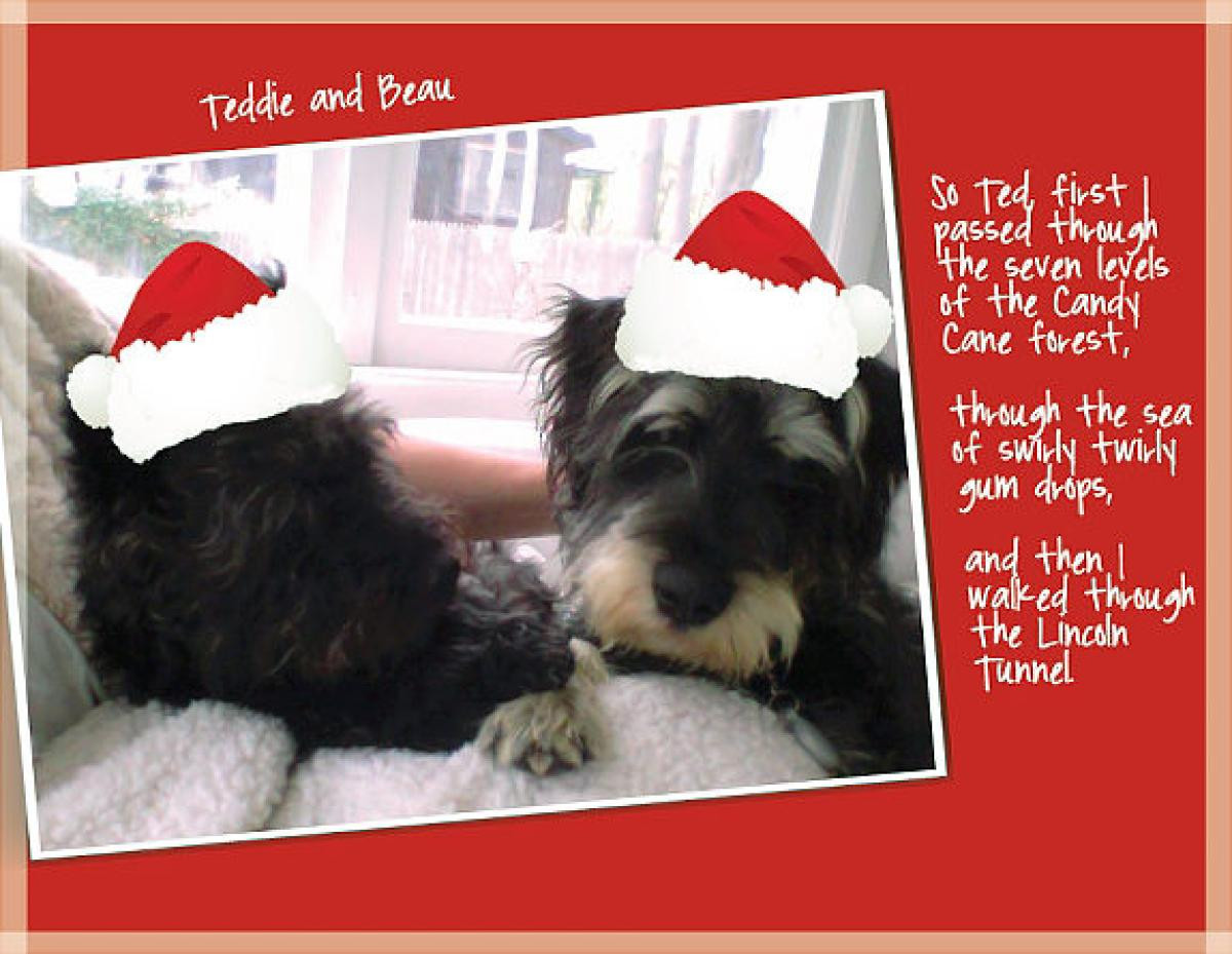 Christmas Dogs Quotes
 Christmas Pet Quotes QuotesGram