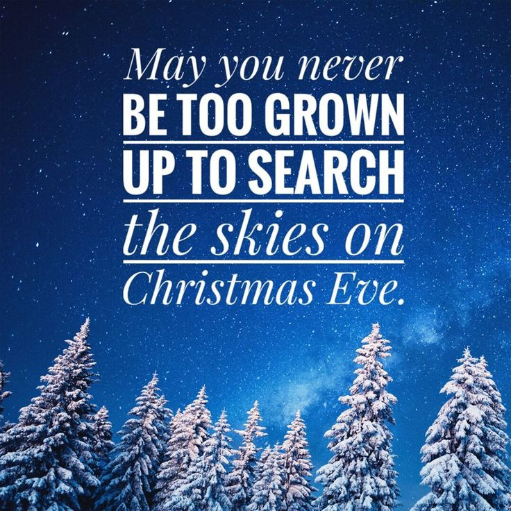 Christmas Eve Quote
 May you never be too grown up to search the skies on