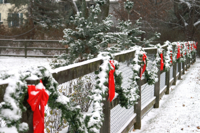 Christmas Fence Decorations
 Did you know that decorating the fence can give your house