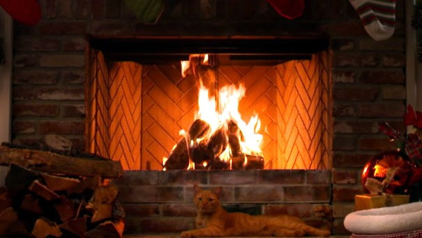 Christmas Fireplace Channel
 News Happy the Cat