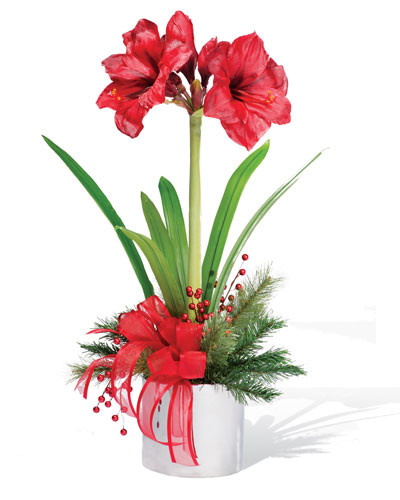 Christmas Flower Amaryllis
 Amaryllis Silk Flower Arrangement for Christmas & Holiday