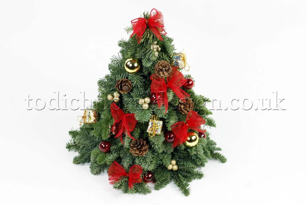 Christmas Flower Delivery
 Find Your Last Minute Holiday Gifts Christmas Flower