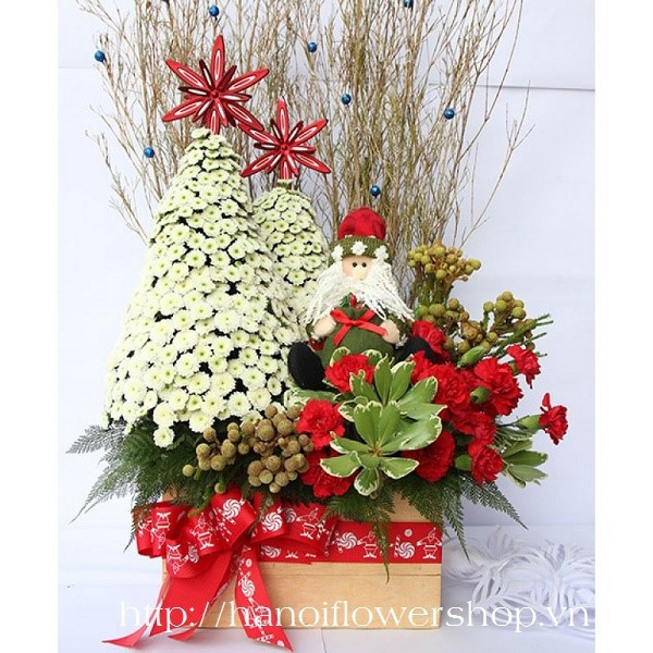 Christmas Flower Delivery
 Christmas Flower Delivery to Hanoi Vietnam
