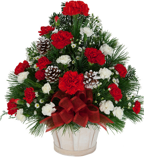 Christmas Flower Delivery Usa
 Christmas Flower Arrangements · Basket of Joy CH2AA