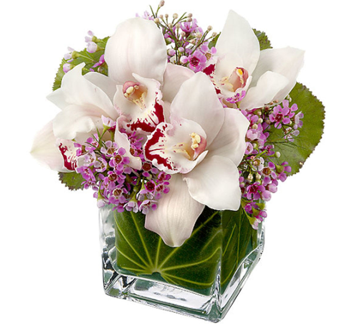 Christmas Flower Delivery Usa
 Flower Delivery by Canada Flowers · FTD Flowers