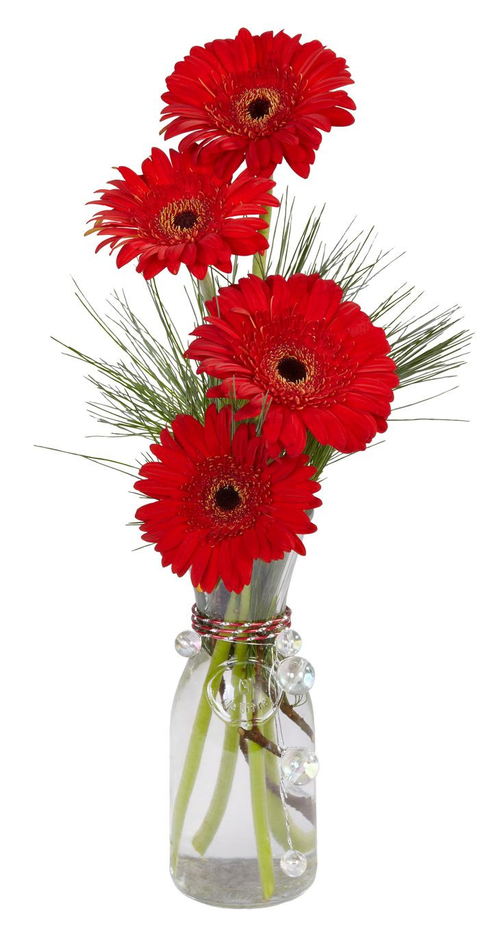 Christmas Flower Delivery Usa
 1000 ideas about Red Flower Arrangements on Pinterest