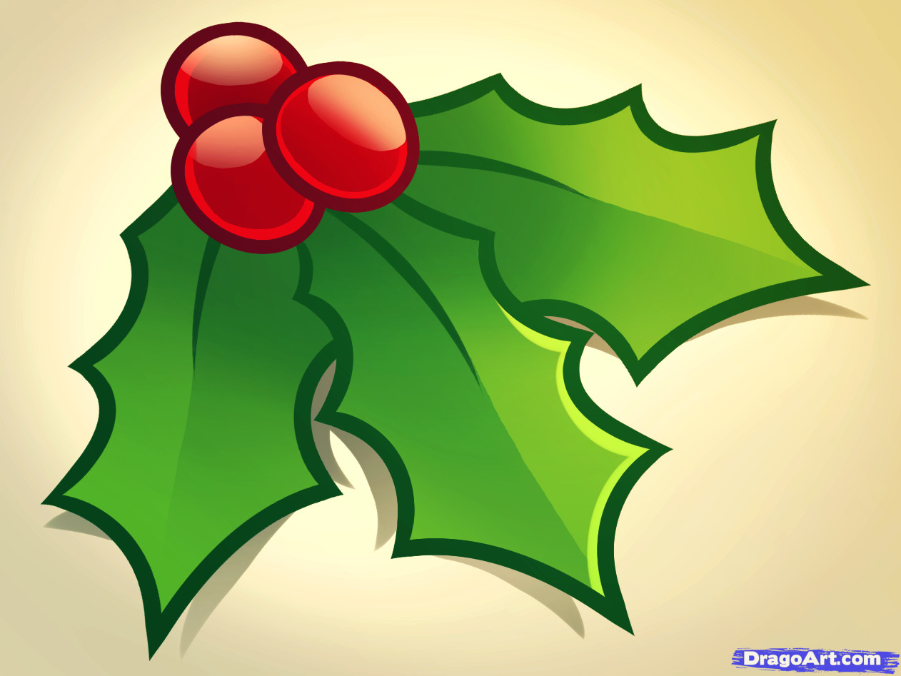 Christmas Flower Drawing
 How to Draw Christmas Holly Step by Step Christmas Stuff