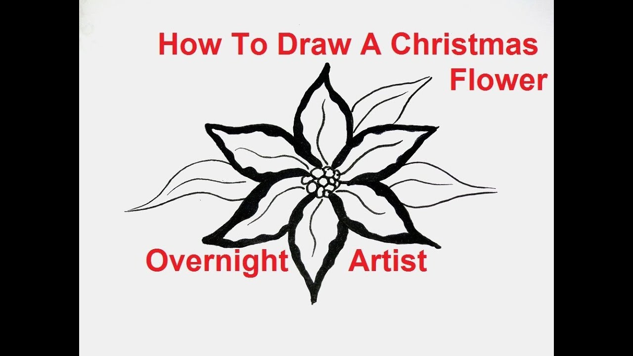 Christmas Flower Drawing
 How to draw flowers draw a christmas flower