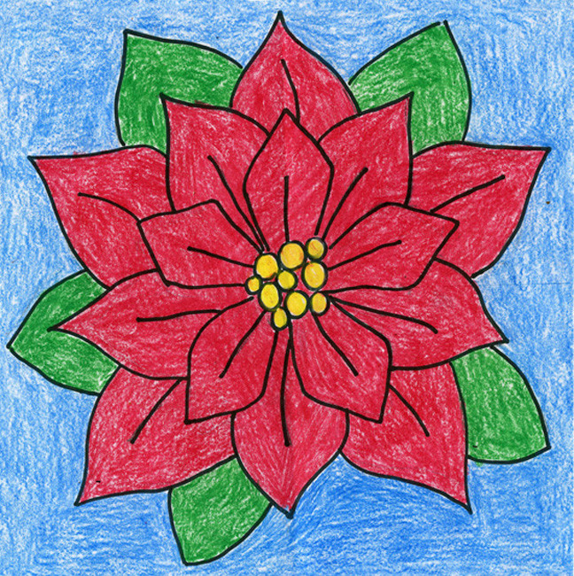 Christmas Flower Drawing
 Poinsettia Flowers Art Projects for Kids