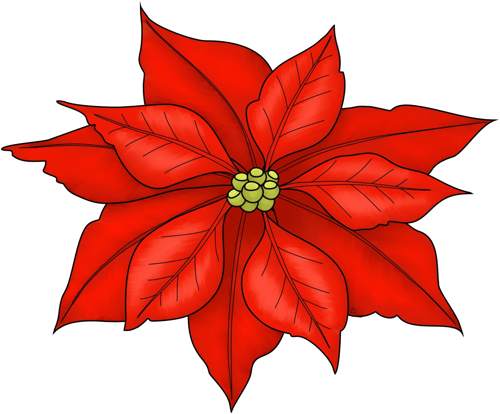 Christmas Flower Drawing
 Beccy s Place Poinsettia Freebie