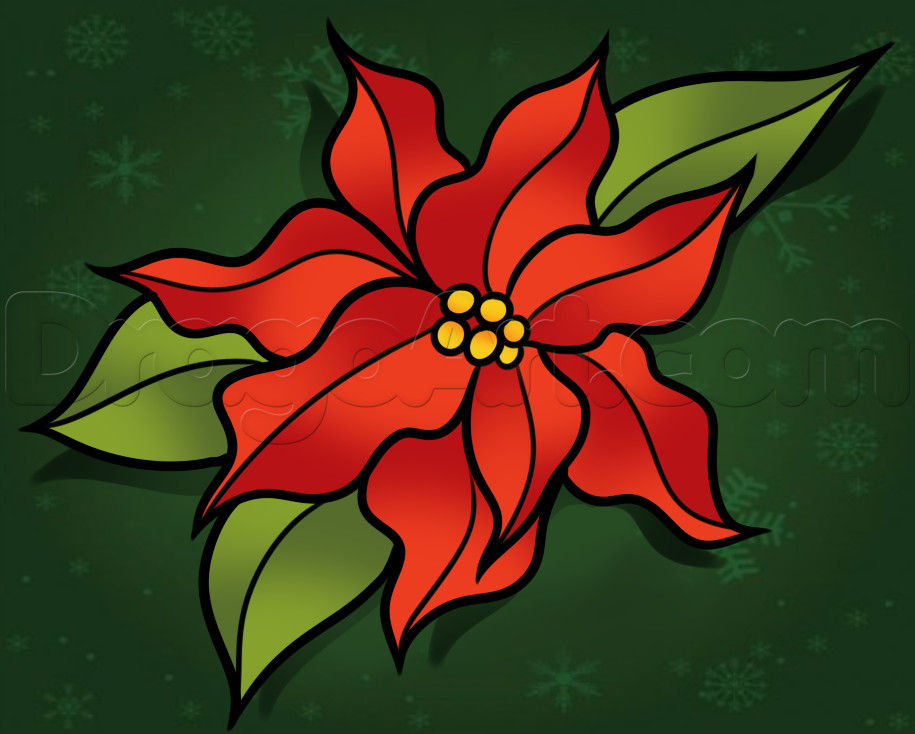 Christmas Flower Drawing
 How to Draw a Christmas Flower Step by Step Christmas