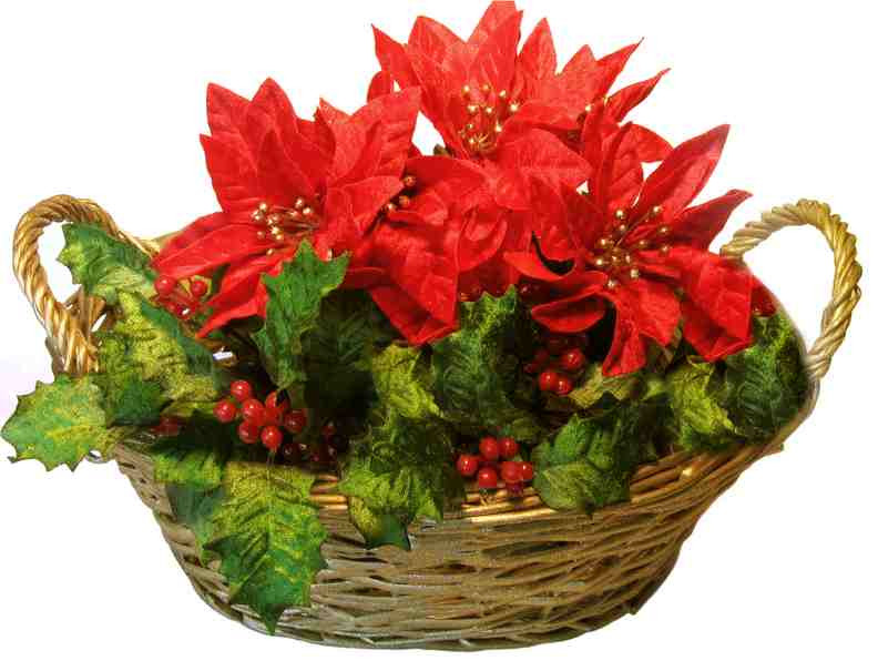 Christmas Flower Gifts
 Christmas Gift Ideas Christmas Flower Basket Ideas