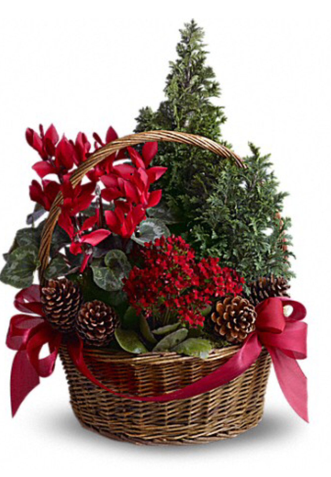 Christmas Flower Gifts
 Christmas Tree Basket – Christina s Flower Shop – 5615