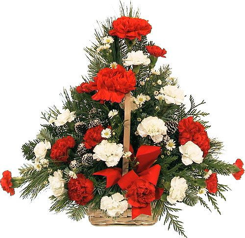 Christmas Flower Gifts
 57 best images about Christmas Arrangments on Pinterest