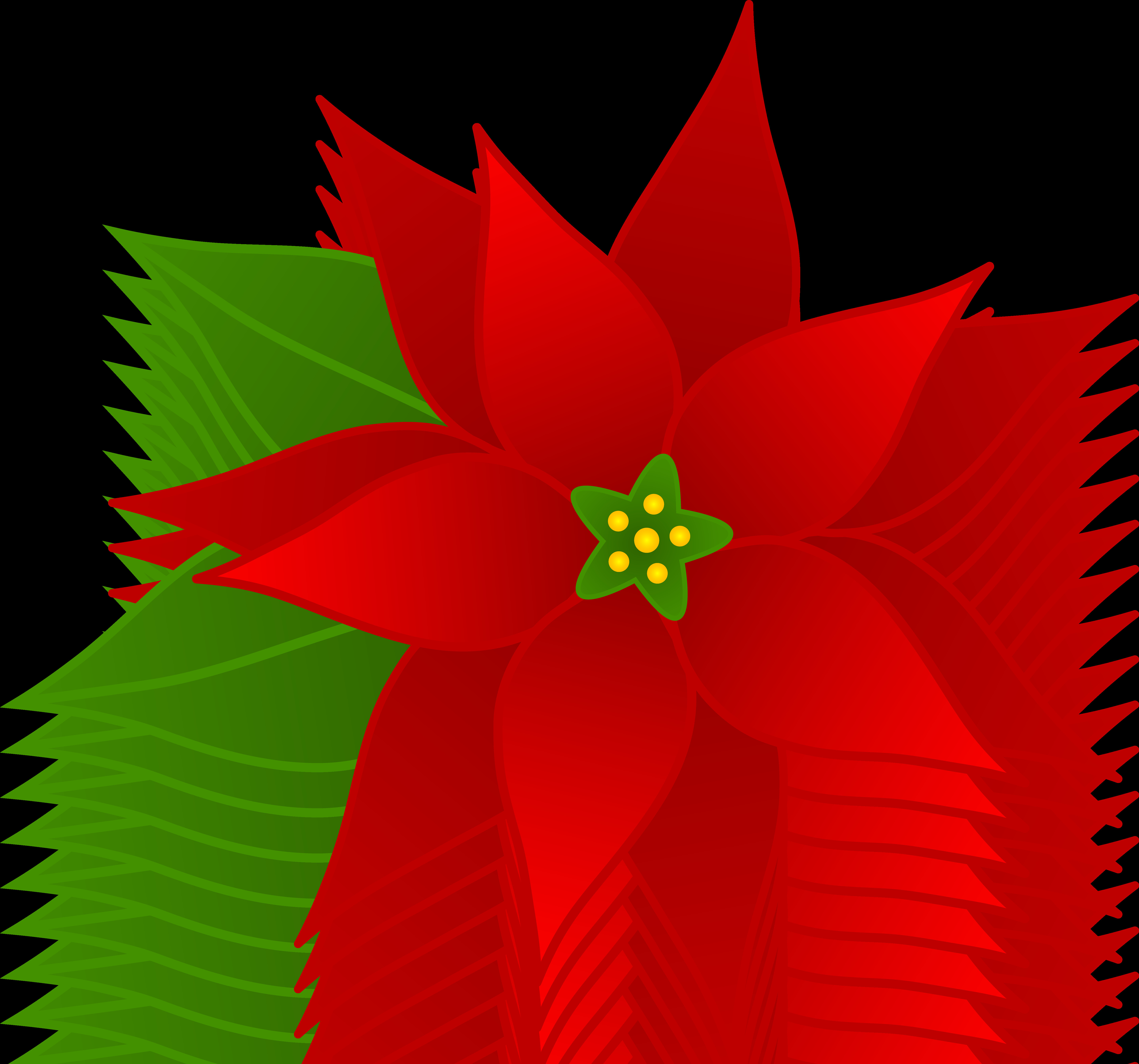Christmas Flower Images
 Christmas Poinsettia Flower Free Clip Art