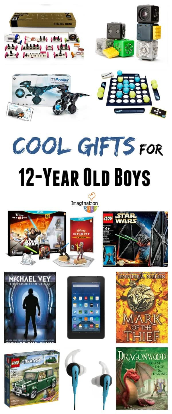 Christmas Gift Ideas 12 Yr Old Boy
 Gifts for 12 Year Old Boys