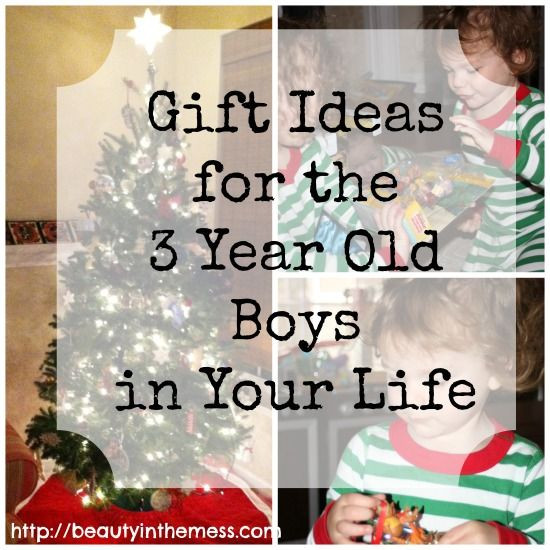 Christmas Gift Ideas For 3 Year Old Boy
 Gift Ideas for a 3 Year Old Boy
