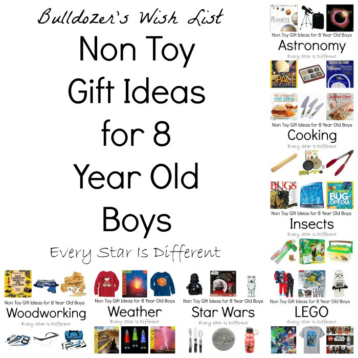 Christmas Gift Ideas For 8 Year Old Boy
 Non Toy Gift Ideas for 8 Year Old Boys Every Star Is