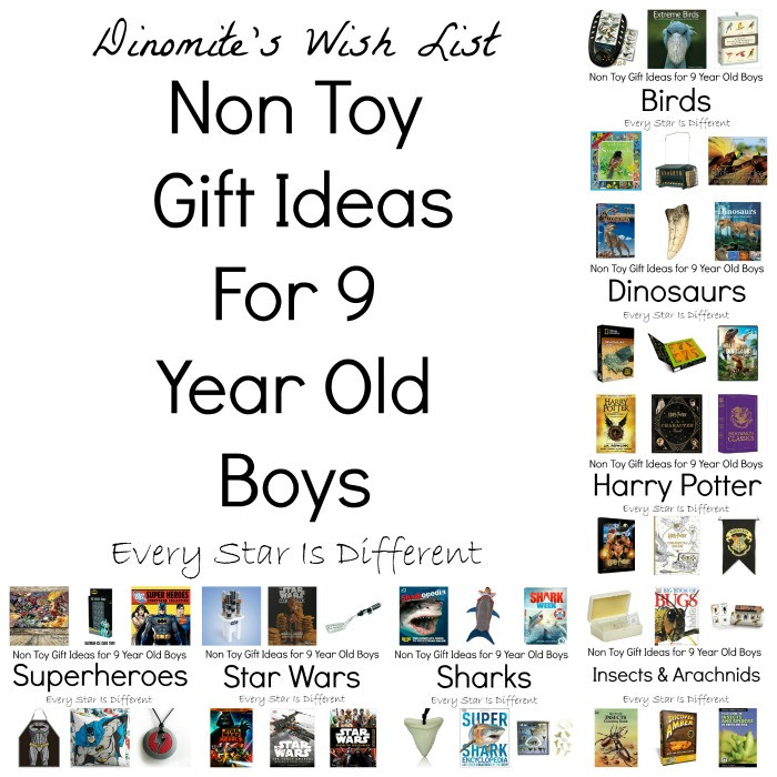 Christmas Gift Ideas For 9 Year Old Boy
 Non Toy Gift Ideas for 9 Year Old Boys Every Star Is