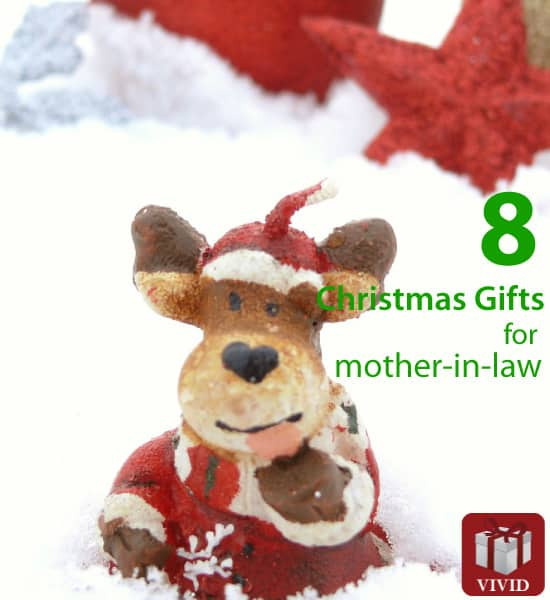 Christmas Gift Ideas For Inlaws
 Top Christmas Gift Ideas for Mother in Law Vivid s