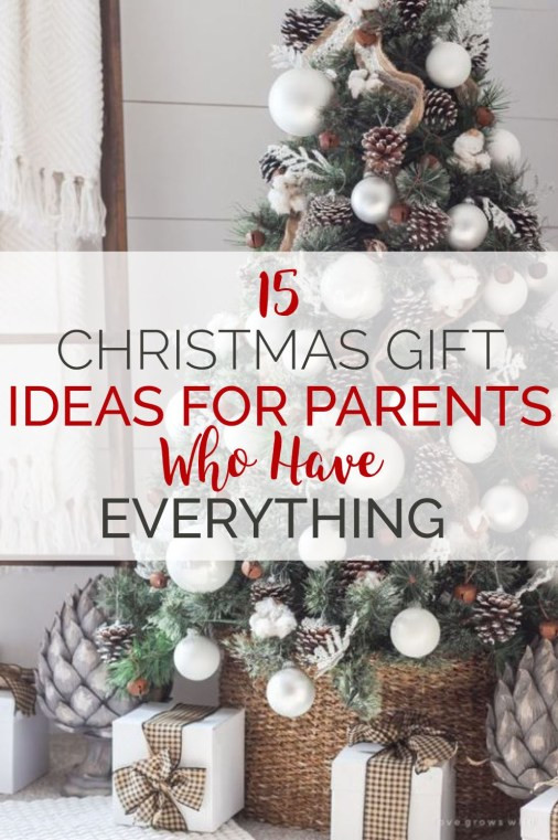 Christmas Gift Ideas For Parents
 15 Christmas Gift Ideas For Parents Who Have Everything