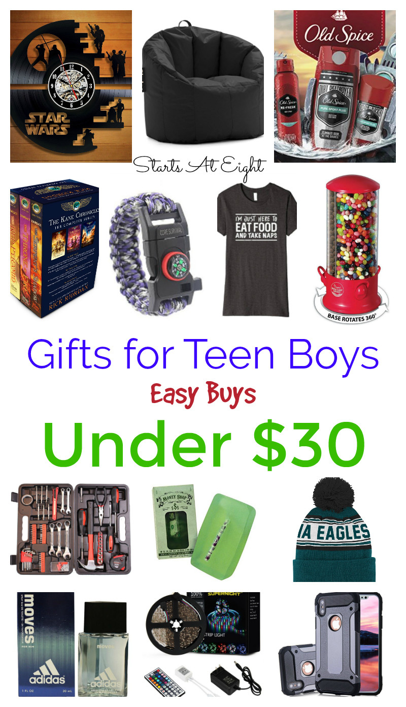 Christmas Gift Ideas For Teen Boys
 Gifts for Teen Boys Easy Buys Under $30 StartsAtEight