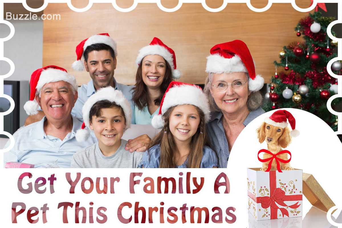 Christmas Gift Ideas For The Whole Family
 5 Whole Family Christmas Gift Ideas to Spark Smiles All Around