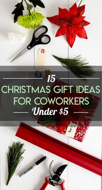 Christmas Gift Ideas Under $5
 15 Christmas Gift Ideas For Coworkers Under $5 Society19
