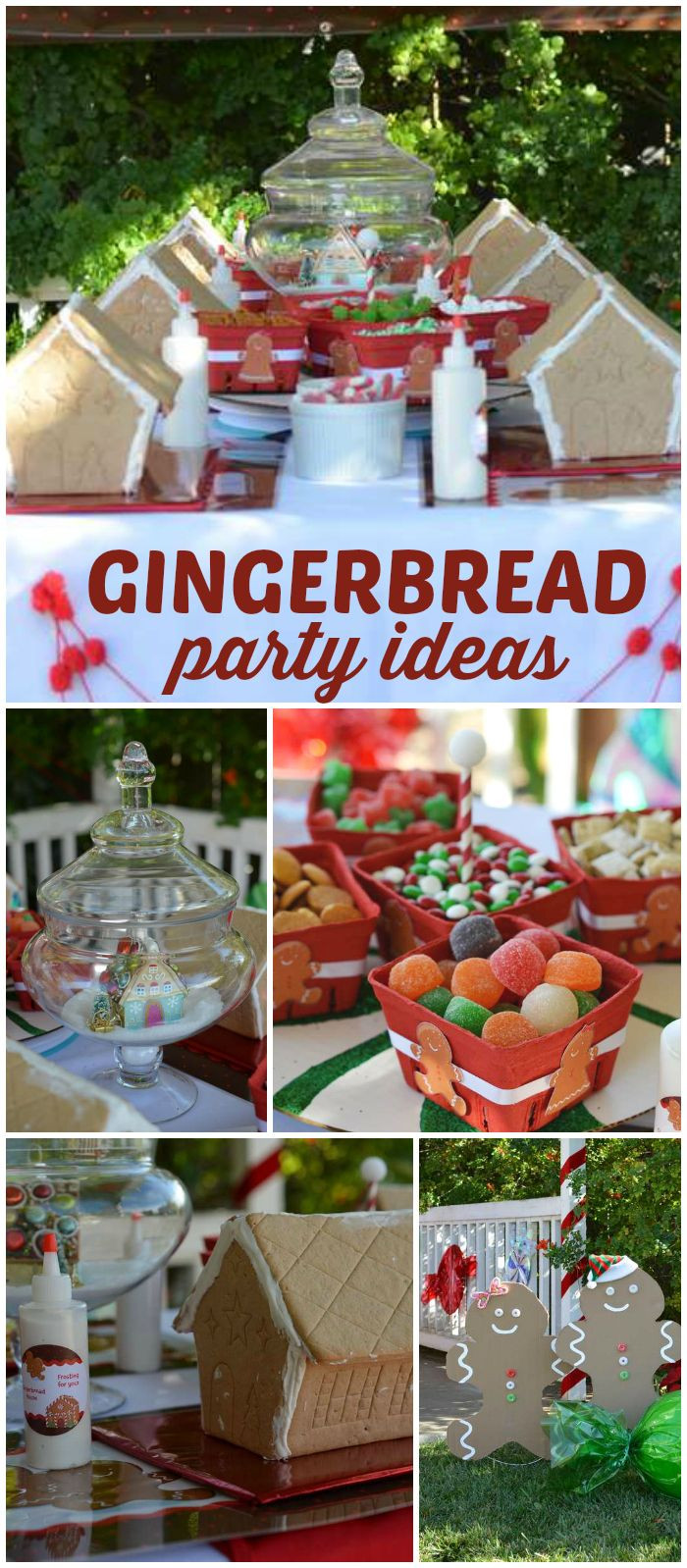 Christmas House Party Ideas
 Best 25 December birthday parties ideas on Pinterest