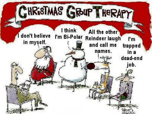 Christmas Humor Quotes
 Fun Christmas Quotes QuotesGram