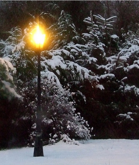 Christmas Lamp Post With Snow
 A Christmas Story on Innovation