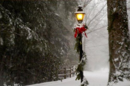 Christmas Lamp Post With Snow
 Street lamp Snow and Warm on Pinterest