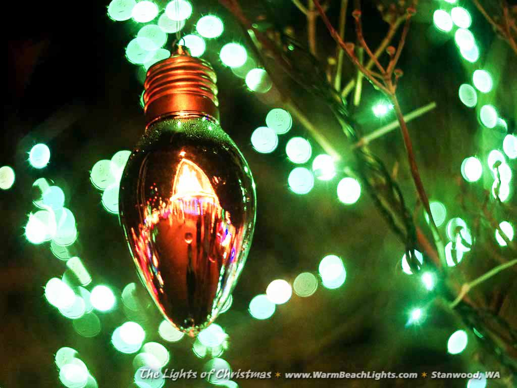 Christmas Lighting Videos
 The Lights of Christmas Festival 2018 The Lights of