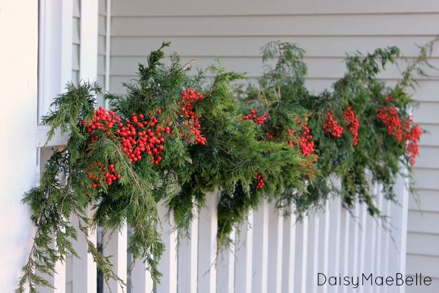Christmas Lights On Fence Ideas
 1000 images about Christmas decorations on Fences on