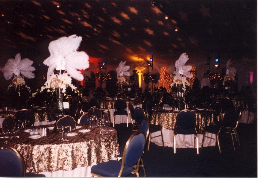 Christmas Masquerade Party Ideas
 I like the stars on the ceiling We might be able to do