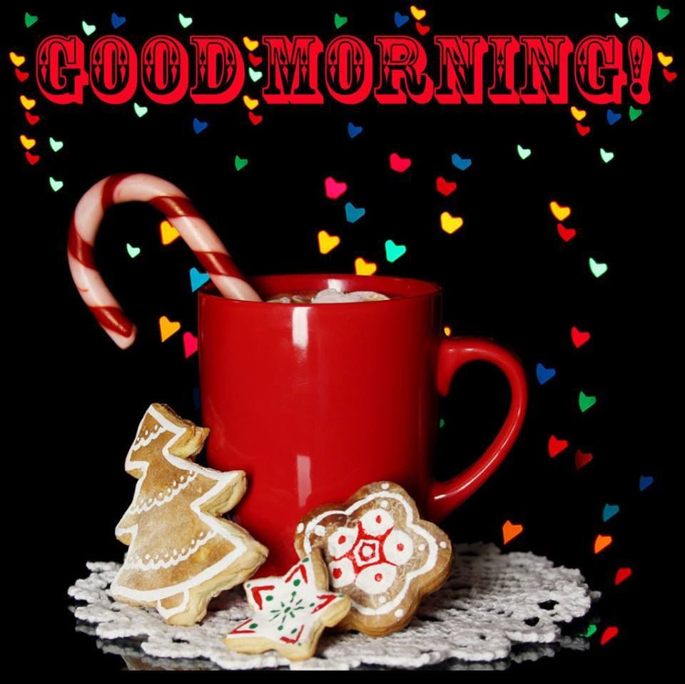 Christmas Morning Quotes
 Cute Christmas Good Morning Image Quote s