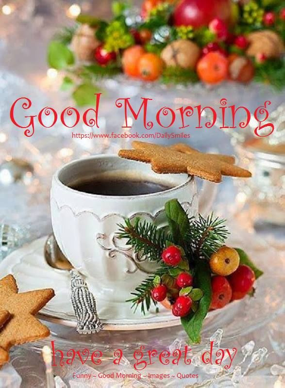 Christmas Morning Quotes
 Christmas Good Morning Have A Great Day Quote