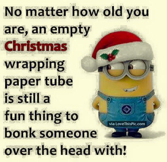 Christmas One Line Quotes
 Funny Minion Quote About Christmas Humour