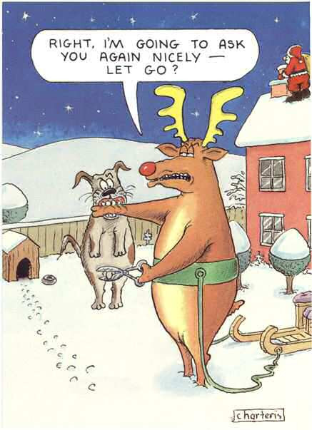 Christmas One Line Quotes
 Dog Cat Humour