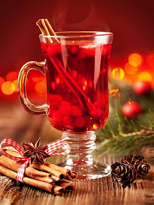Christmas Party Drinking Ideas
 Cranberry Christmas Cocktail Recipe – Alcoholic Holiday